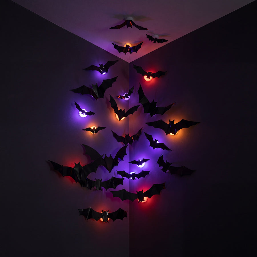 24 Bats
